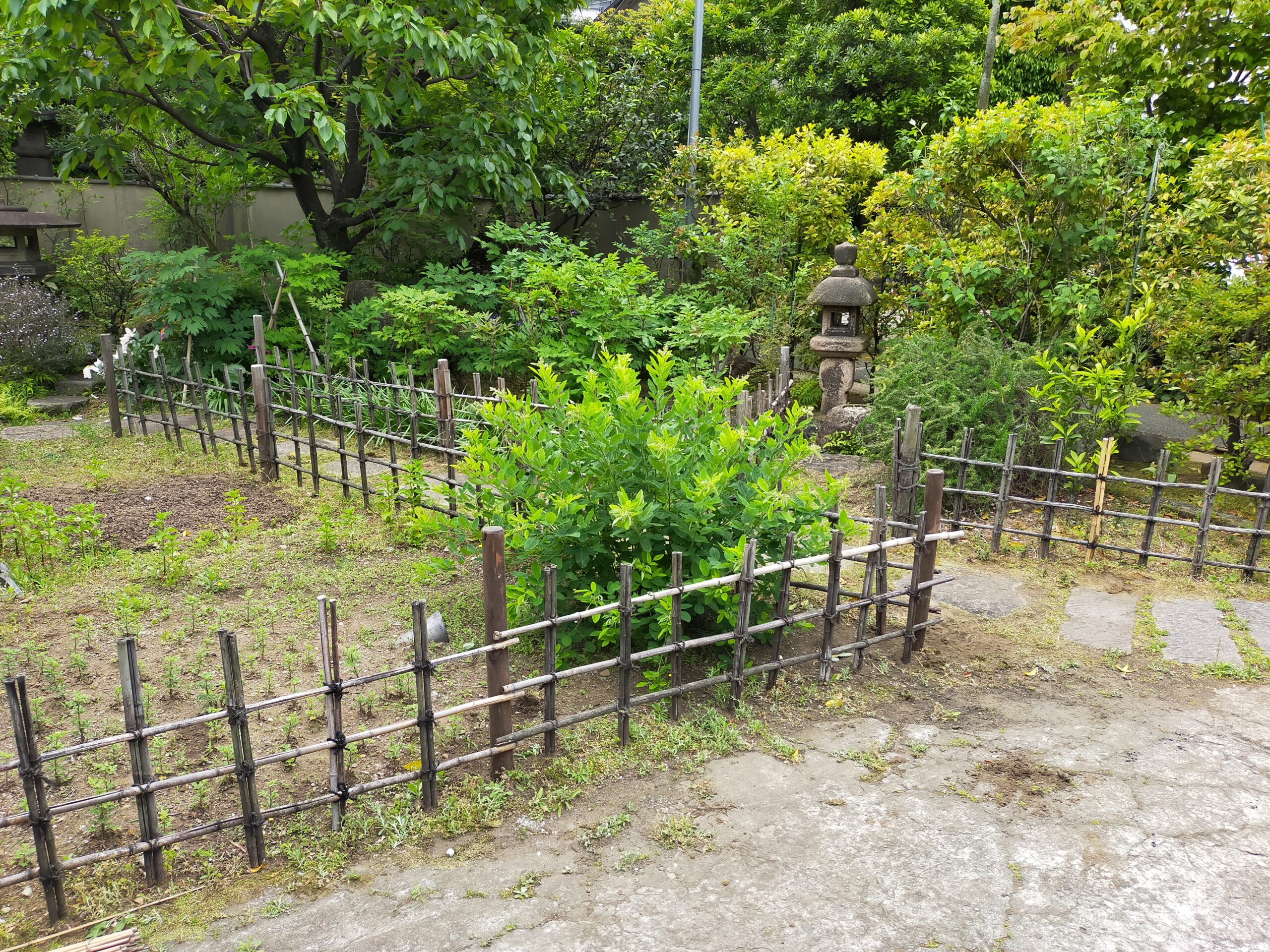 竹垣修理 補陀洛山 千手院